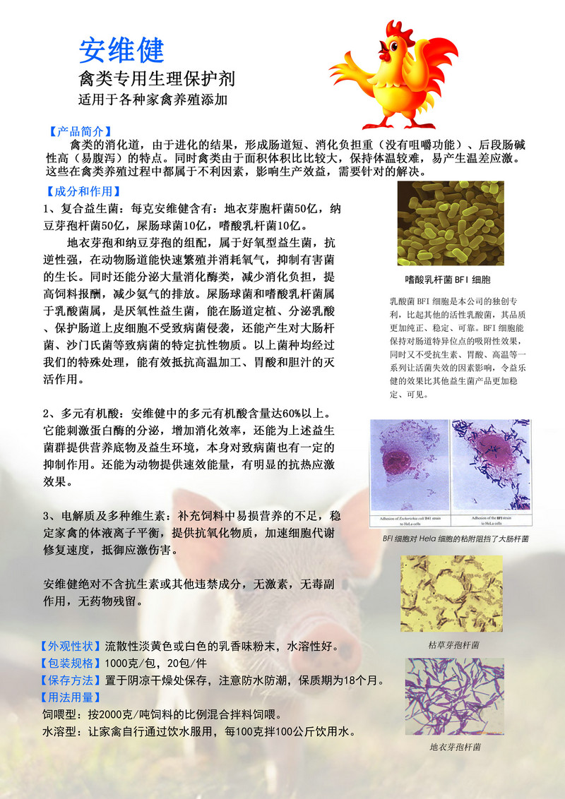 安维健-禽专用生理保护剂(图2)