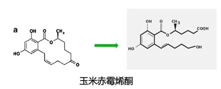 酶利宝:具有独特功效的复合益生菌(图3)