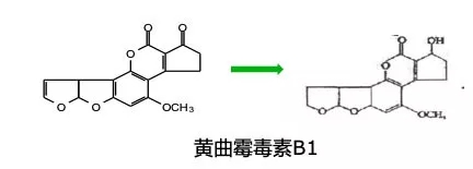 酶利宝:具有独特功效的复合益生菌(图2)