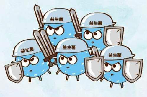 酶利宝:具有独特功效的复合益生菌(图1)