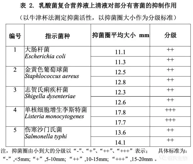 乳酸菌在畜禽养殖中的应用(图4)