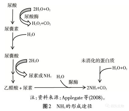 家禽粪污臭气来源及降低途径(图3)
