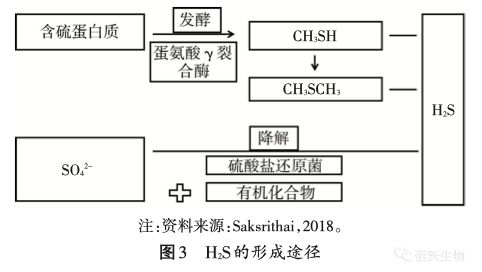 家禽粪污臭气来源及降低途径(图4)
