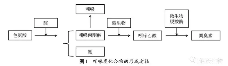 家禽粪污臭气来源及降低途径(图2)
