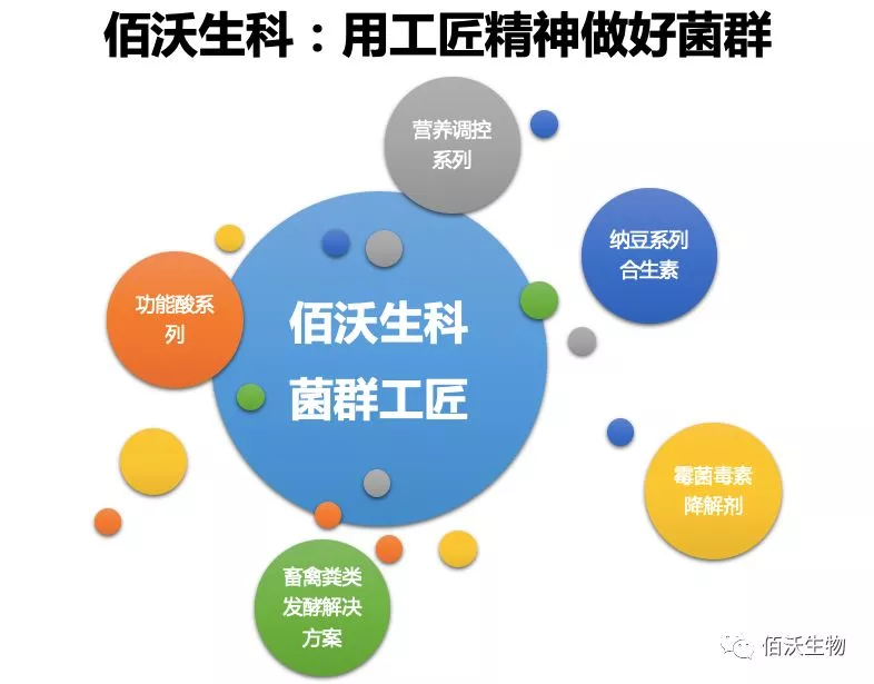 家禽粪污臭气来源及降低途径(图8)